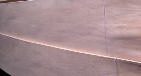 歐楓美楓木皮深受客戶(hù)歡迎！