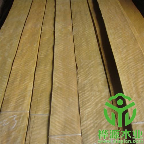 金影木皮0.5mm質(zhì)量保證，排骨金影木皮優(yōu)質(zhì)供應(yīng)