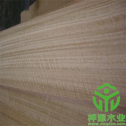 尤加利影木皮0.5mm品質(zhì)保證，排骨影尤加利裝修效果好